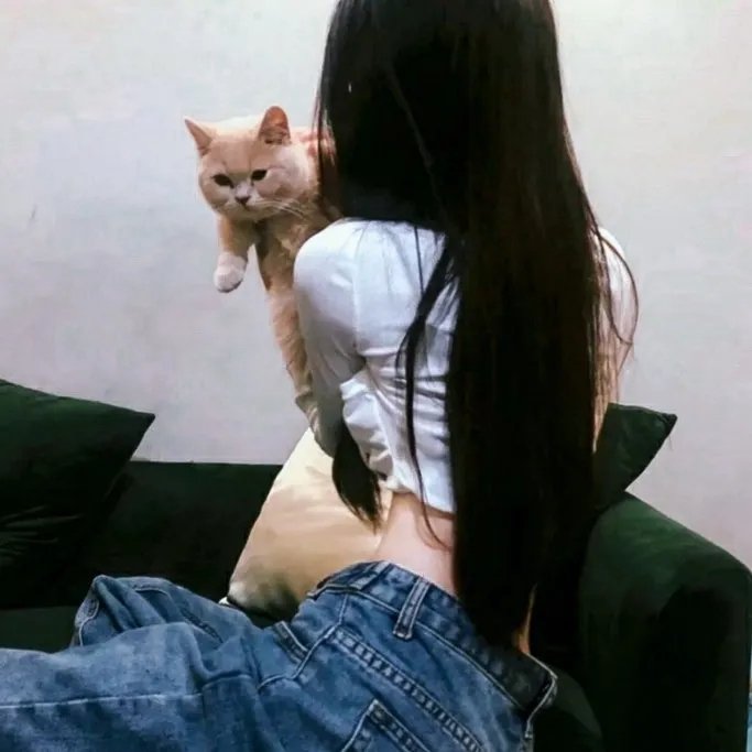 湖